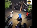 Chikni Chameli Serbian Dancing Lady The Ritesh Editz