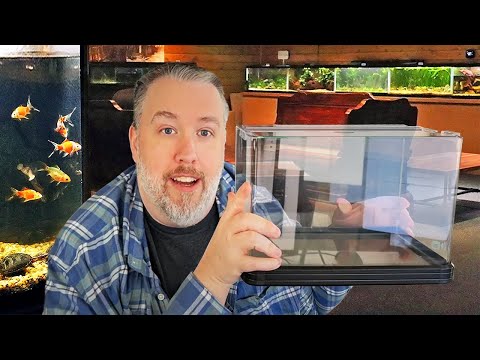 Tiny Tanks, Big Savings: Why Small Aquariums Are the Best Choice For Beginners