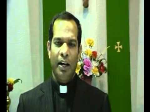 17 - 06 - 2011  The Solemnity of the Most Holy Trinity