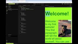 CSS Basics & CodeSandbox.io