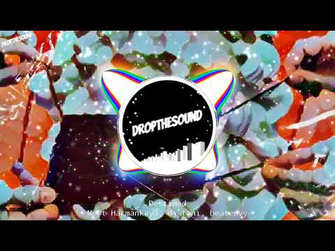 Mert Harmankaya & dj tani & Beatenvy - Destined