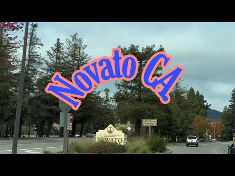 Novato California // free and awesome trips around USA // random trips USA