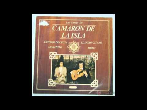 download lagu mp3 mp4 Camaron De La Isla Discography, download mp3 Camaron De La Isla Discography free downloadn, video klip Camaron De La Isla Discography