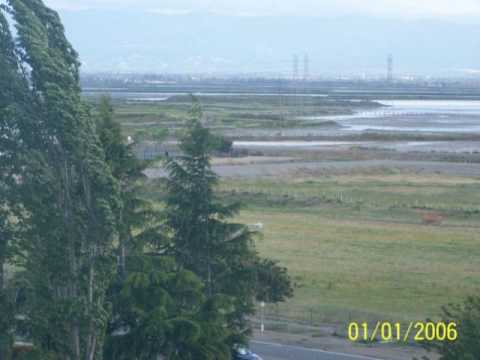 African Herbsman lyrics