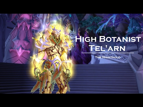 High Botanist Tel'arn Mythic vs Practice Makes Perfect (Monk MW POV)