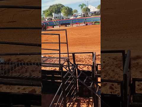 10/11/25, Naviraí, MS.#turismo #viagem #naviraí #matogrossodosul