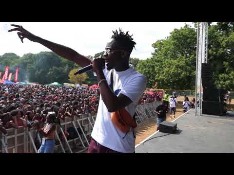 Mr Eazi to the World - Episode 3 (with performances at Ghana party in the park & Afropunk Festival)