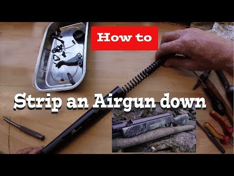 How to service a Spring Air rifle -The Westlake B2