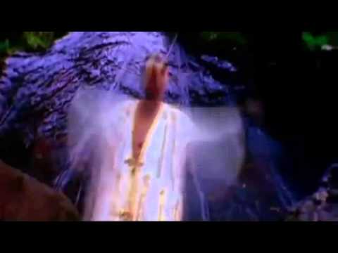 Reel 2 Real - Megamix