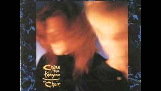 The Choir - 6 - The Rifleman - Chase The Kangaroo (1988)