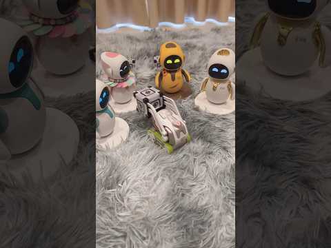 Pooh! Cozmo want to play with eiliks #robot #eilik #energizelab #cozmo #loona #keyitech