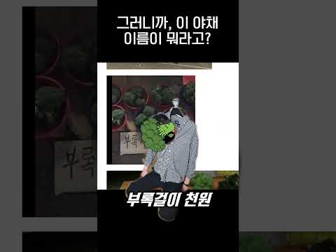 채소 이름ㅋㅋㅋ