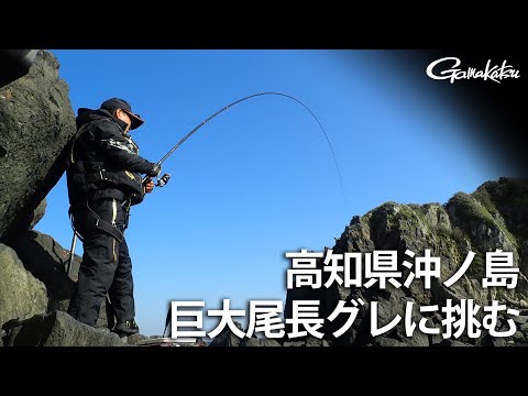【G WORLD】＃30 高知県沖ノ島の巨大尾長グレに挑む
