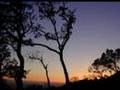 Glen Campbell - Southern Nights Glen Campbell - Southern Nights