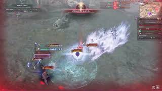 【ThroneAndLiberty】20251018 ギルド戦 - 次元石インターサーバー ヒーラー視点