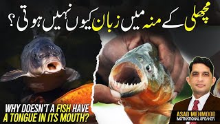 Why Doesn&#39;t a FISH Have a Tongue In Its Mouth? | Asad Mehmood Inspirational Speaker
