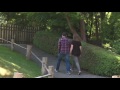 My Edited Video