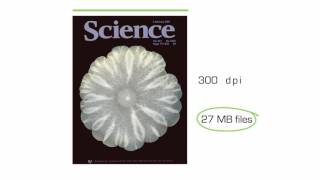 Video 6: Setting the Exposure