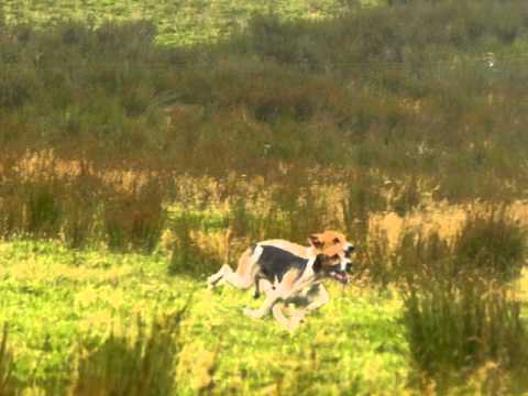 download lagu mp3 mp4 Bedazzled Cape Town, download lagu Bedazzled Cape Town gratis, unduh video klip Bedazzled Cape Town