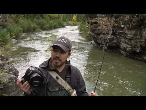 Pentax 645D Hands-On Field Test