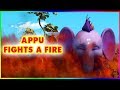 Short Stories For Kids Appu Fights A Fire