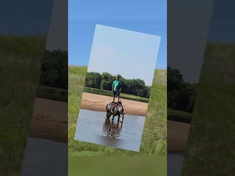youtube preview