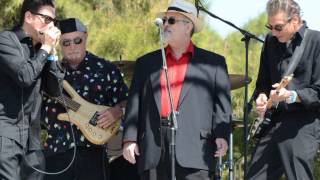 Blues Blast 2012 Common Ground Blues w Special Guest Bob Corritore!