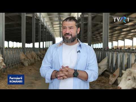 , title : 'Ce fermă e mai profitabilă: de vaci de carne sau de porci? Călin Muscă răspunde!'