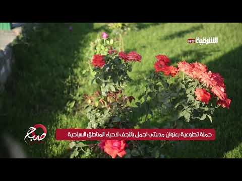 شاهد بالفيديو.. صباح الشرقية 12-6-2019 | حملة تطوعية بعنوان مدينتي اجمل بالنجف لاحياء المناطق السياحية