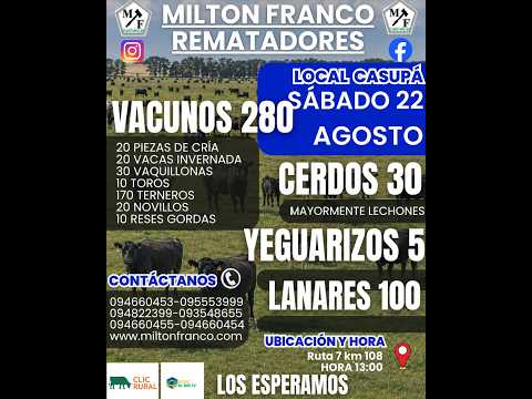 22/08/2026 Local Casupá - Florida - Feria mensual - Milton Franco | Clic Rural
