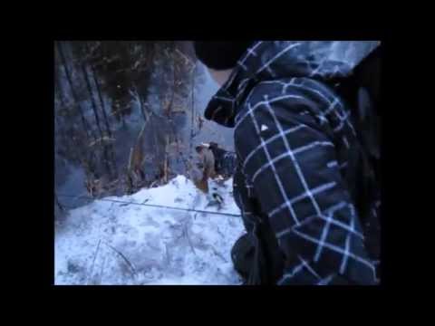 jõeforell 01.02.2015