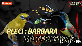Download lagu MASTERAN PLECI BARBARA (materi 2tak) mp3