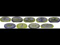 The 9 Discs From The Happy Dancing Music Machine All In Blue Yellow