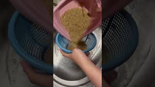 Download lagu Cara masak nasi tiwul kering / tiwul instan #cooking #idemasakan #nasitiwul #masakanndeso #masak mp3