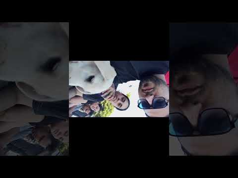 “Viajamos a Rauch… y terminamos en un evento de aviación inesperado ✈️ | Capítulo 1”