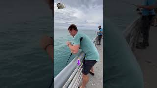 Download lagu Awesome!! This guy caught a big fish #fishing #shortvideo mp3