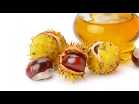 download lagu mp3 mp4 Is Chestnut Good For You, download lagu Is Chestnut Good For You gratis, unduh video klip Is Chestnut Good For You