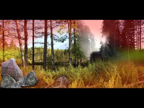 Ninni Kettuli - Halipula