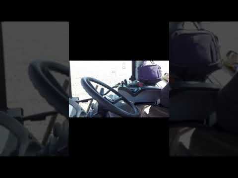 Zawus mocznik 2018 bovinas chodów wiosna