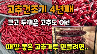 고추건조하기 고추건조기4년째 크고두거운 고추도ok 때깔좋은 고추가루 만들려면 기계가 좋아야