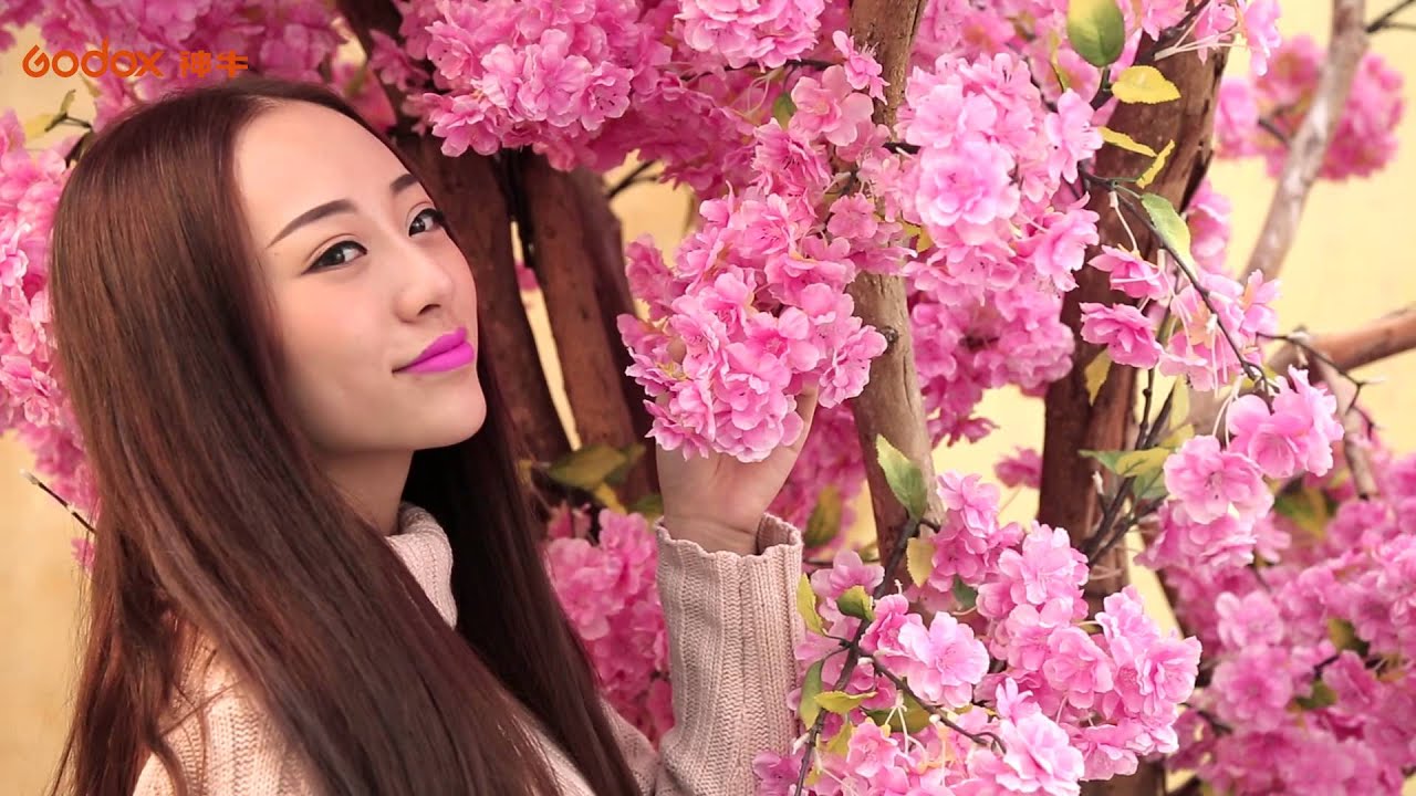 Осветитель светодиодный Godox SL100W