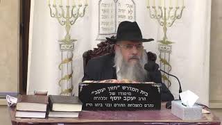 בית המדרש חזון יעקב • יום ראשון יד' שבט תשפ'ו (בית הכנסת מוסאיוף) - התמונה מוצגת ישירות מתוך אתר האינטרנט יוטיוב. זכויות היוצרים בתמונה שייכות ליוצרה. קישור קרדיט למקור התוכן נמצא בתוך דף הסרטון