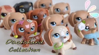 All of My Lps Dachshunds! || Lps Collection