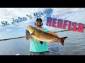 ST JOHNS RIVER REDFISH - Red Dog Media ST JOHNS RIVER REDFISH