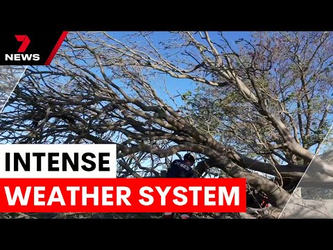 Powerful 'bomb cyclone' to hit New South Wales | 7NEWS