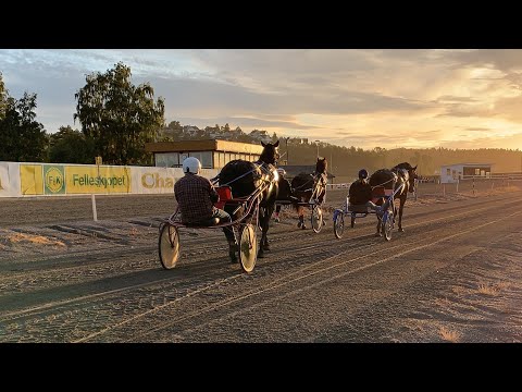 Vlog³ 39 Travsportens «Til start»