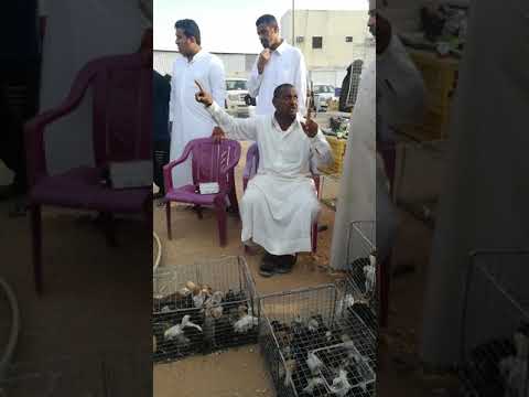 Kobotar market riyadh saudi Arabia Aziza
