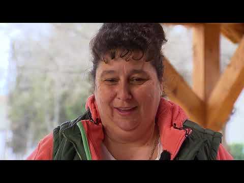 Gasztroangyal 11. rész - Rétköz (2016)