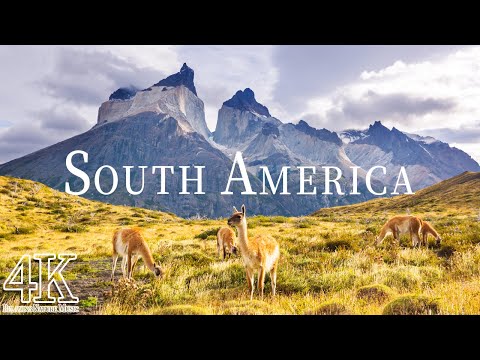 South America Wildlife in 4K ULTRA HD - Scenic Wildlife Film With Calming Music