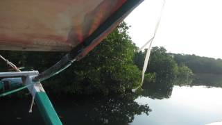 preview picture of video 'Mangroves at Sta. Ana, Cagayan on the way to Anguib Beach - Schadow1 Expeditions'